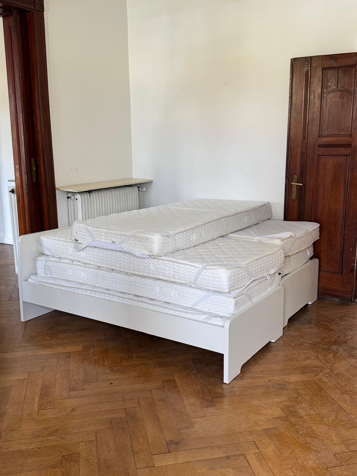 Loewenservice24